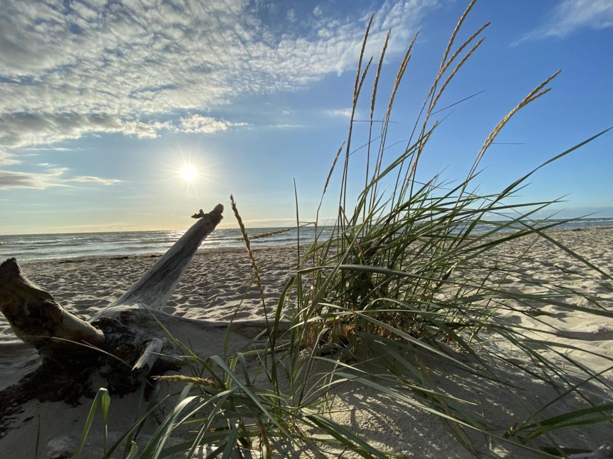 Fewo Unweit Warnemuende Sobierajczyk In Markgrafenheide Rostock Buitenkant foto